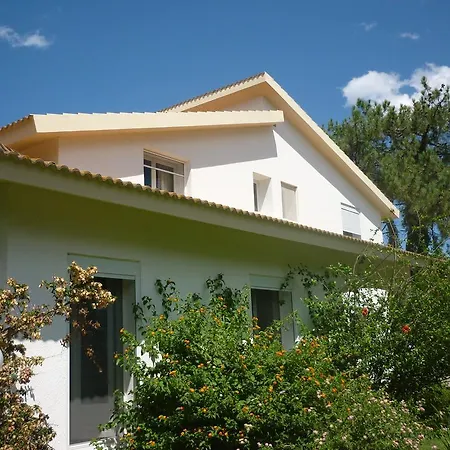 Hibiscus Biguglia (Corsica)